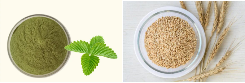 Chart showing diabetic food market data and trends - figure 8